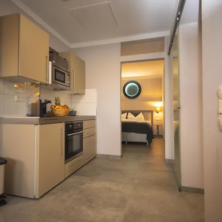 1880 Lofthaus Apartment Gera